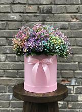 Цветочная композиция из Гипсофила и Розы в шляпной коробке в Пушкино