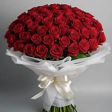 Букет 101 Красная роза Блэк Мэджик в Пушкино