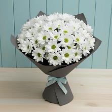 Букет цветов из:  Хризантемы #REPLACE_PRED# Пушкино