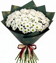 Букет цветов из:  Хризантемы в Пушкино