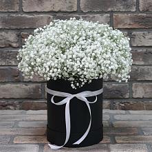 Цветочная композиция из Гипсофила в шляпной коробке в Пушкино