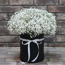 Цветочная композиция из Гипсофила в шляпной коробке в Пушкино