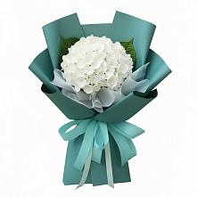 Букет цветов из:  Гортензия в Пушкино